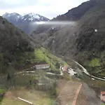 Oso4 Pola de Somiedo