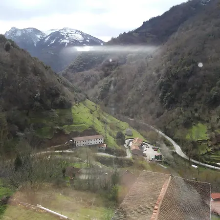 Oso4 Pola de Somiedo